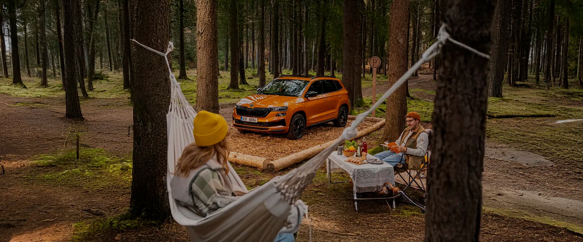 Skoda Karoq Selection 2.0 TDI DSG